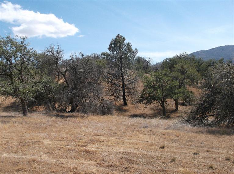 2 Mcclean Drive Tehachapi, CA 93561 - Photo 13 of 14 Gallery Image 13