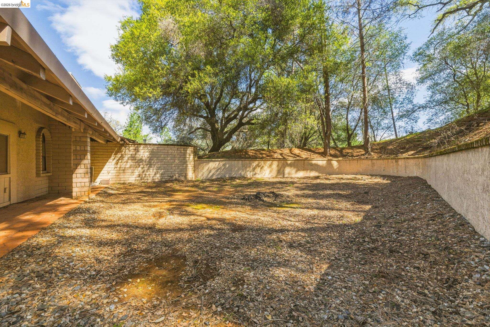 23608 Porcina Way Columbia, CA 95310 - Photo 49 of 51 a view of back yard of the house