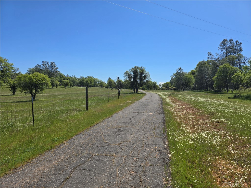 5963 Schilling Road Coulterville, CA 95311 - Photo 2 of 75 a view of a grassy area with an trees