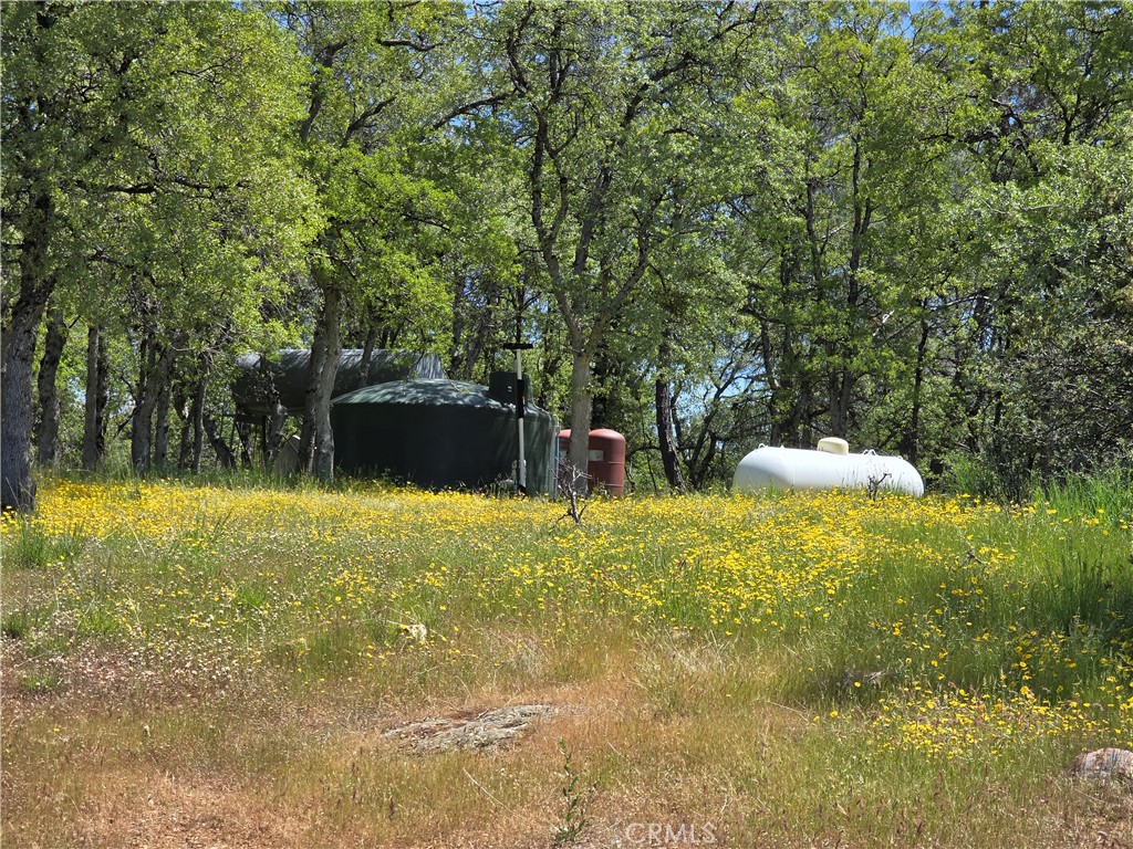 5963 Schilling Road Coulterville, CA 95311 - Photo 41 of 75 WATER AND FUEL STORAGE TANKS