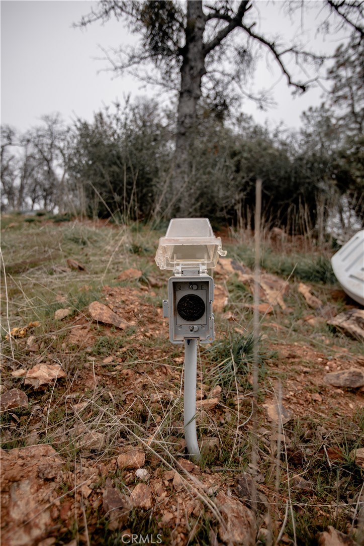 5963 Schilling Road Coulterville, CA 95311 - Photo 42 of 75 a view of a yard with plants and large trees
