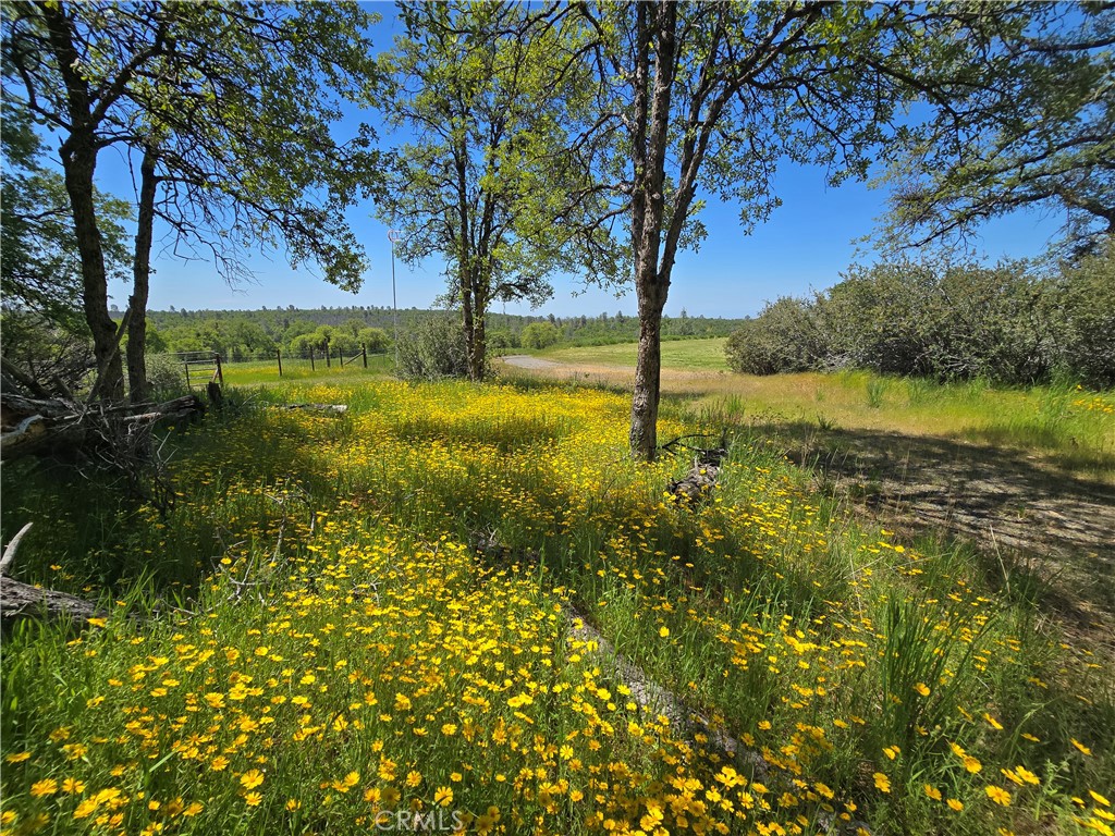 5963 Schilling Road Coulterville, CA 95311 - Photo 44 of 75