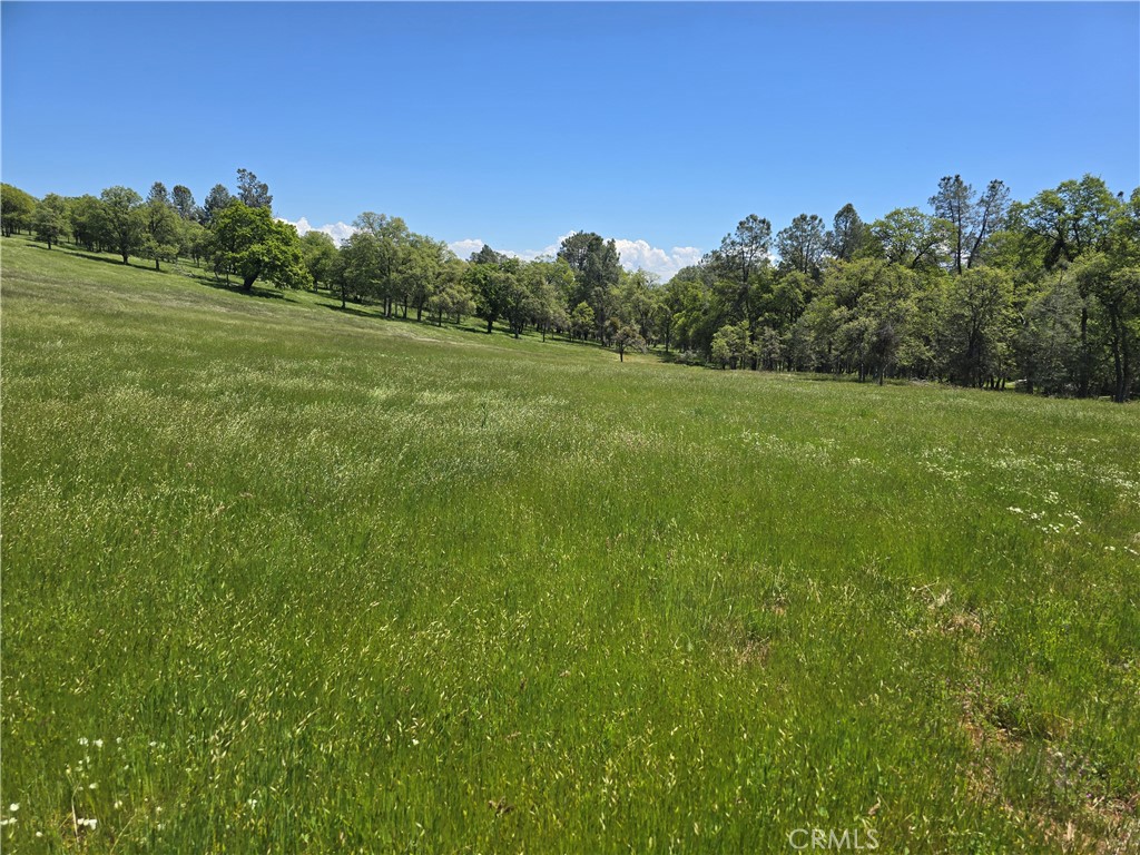 5963 Schilling Road Coulterville, CA 95311 - Photo 54 of 75