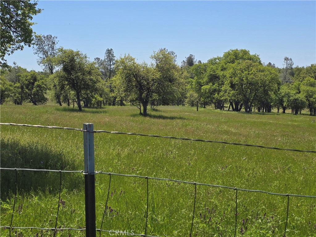 5963 Schilling Road Coulterville, CA 95311 - Photo 55 of 75 a view of a field with a ground in the background