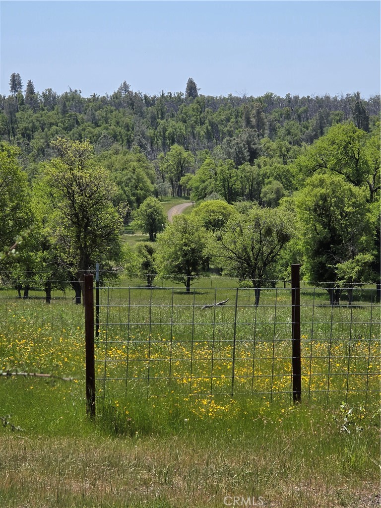 5963 Schilling Road Coulterville, CA 95311 - Photo 56 of 75