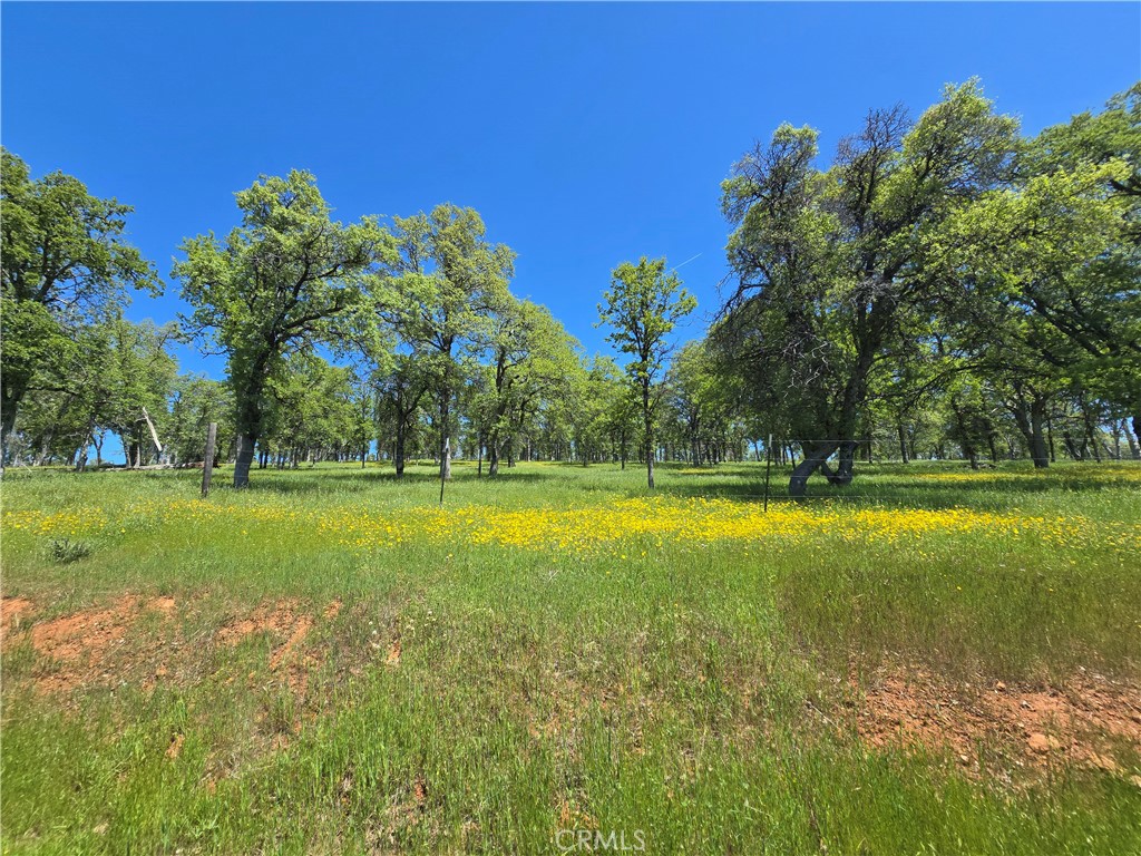 5963 Schilling Road Coulterville, CA 95311 - Photo 57 of 75 a view of a swimming pool with an outdoor space and seating area