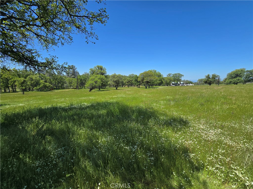 5963 Schilling Road Coulterville, CA 95311 - Photo 59 of 75