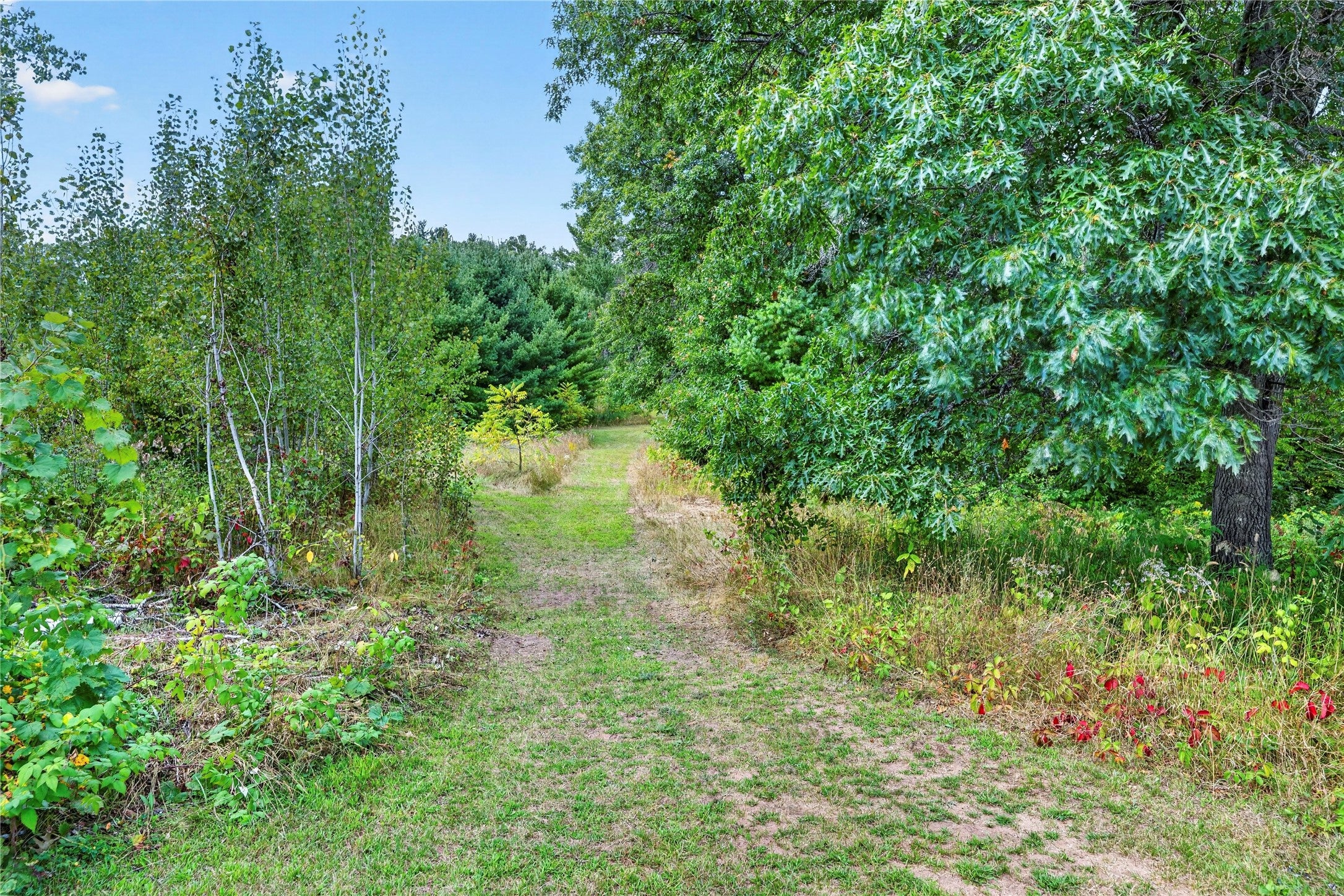 W7891 Keller Road Spooner, WI 54801 - Photo 51 of 55 Gallery Image 51