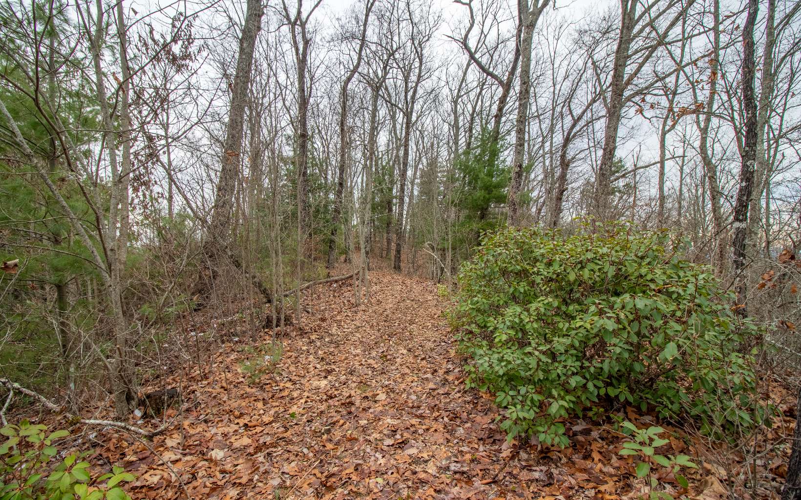0 Craig Farm Road Murphy, NC 28906 - Photo 11 of 34 Additional View