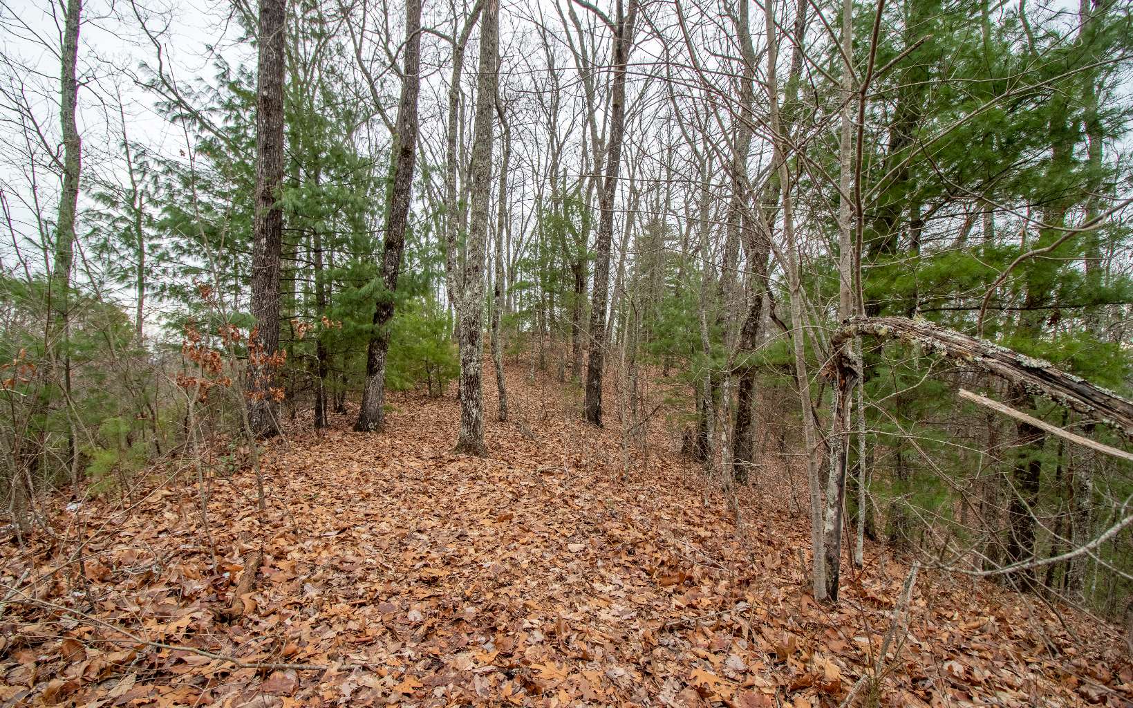 0 Craig Farm Road Murphy, NC 28906 - Photo 12 of 34 Additional View