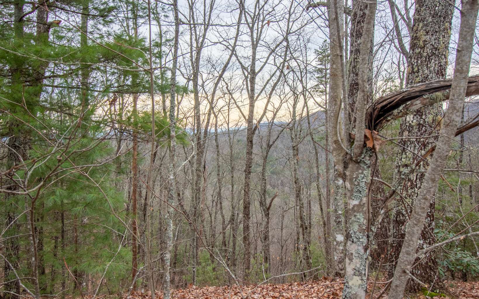 0 Craig Farm Road Murphy, NC 28906 - Photo 13 of 34 Additional View