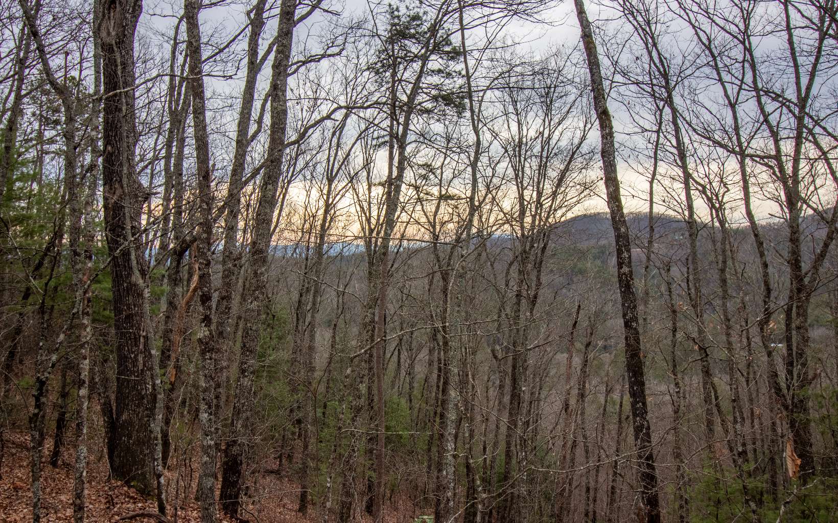0 Craig Farm Road Murphy, NC 28906 - Photo 14 of 34 Additional View