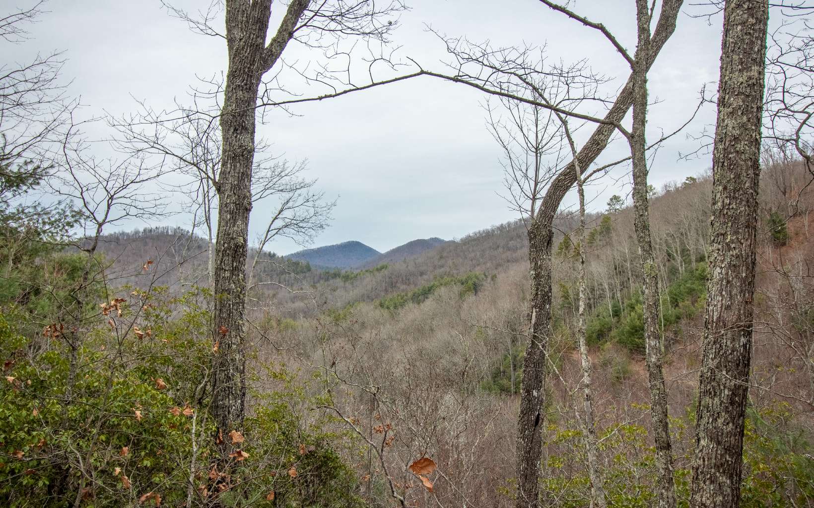 0 Craig Farm Road Murphy, NC 28906 - Photo 15 of 34 Additional View