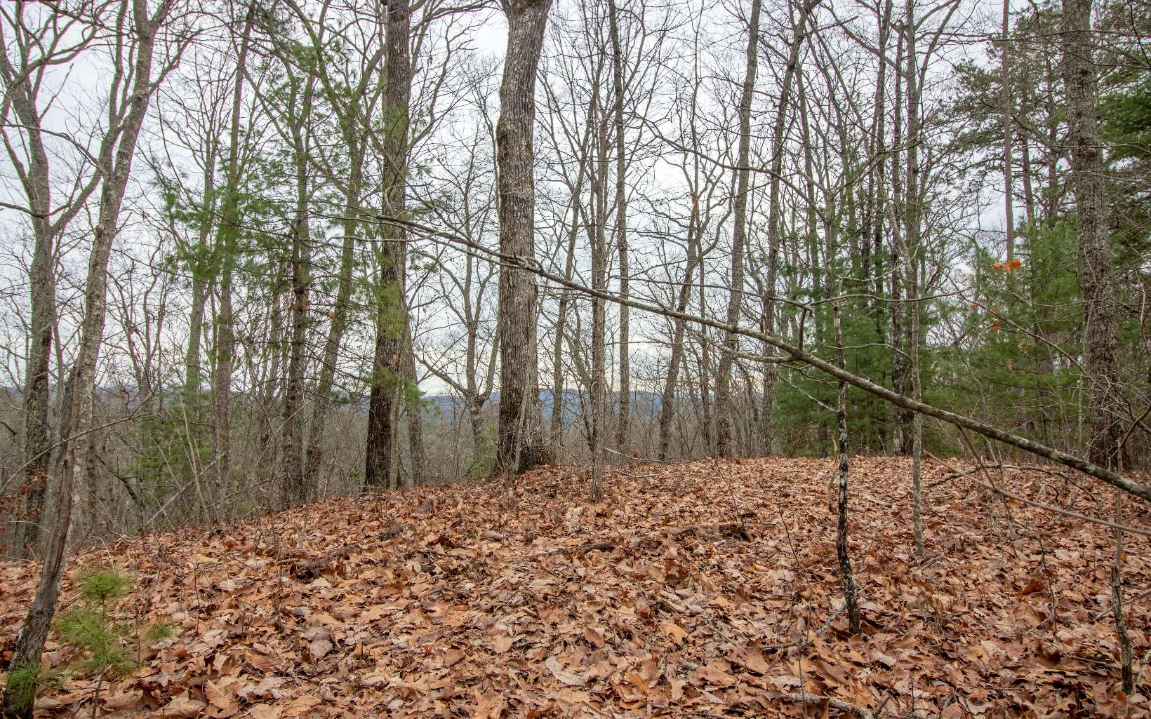 0 Craig Farm Road Murphy, NC 28906 - Photo 16 of 34 Additional View