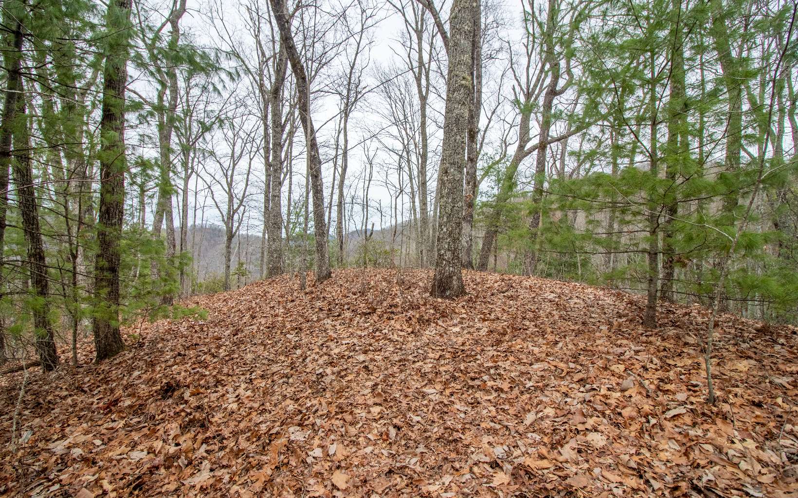 0 Craig Farm Road Murphy, NC 28906 - Photo 18 of 34 Additional View