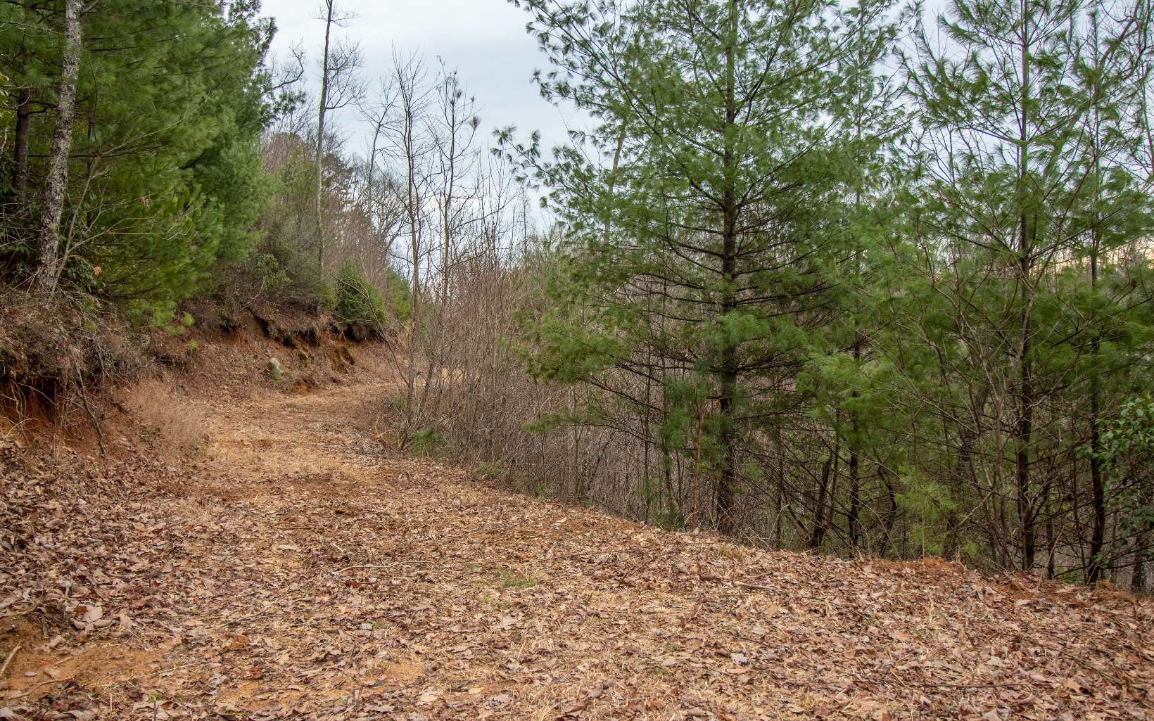 0 Craig Farm Road Murphy, NC 28906 - Photo 19 of 34 Additional View