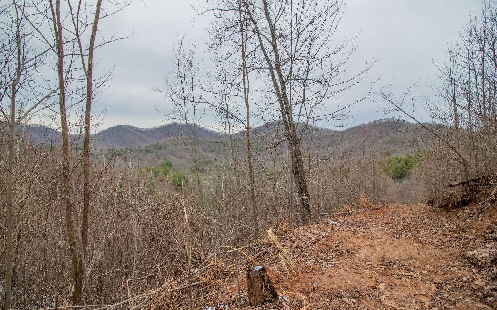 0 Craig Farm Road Murphy, NC 28906 - Photo 20 of 34 Additional View