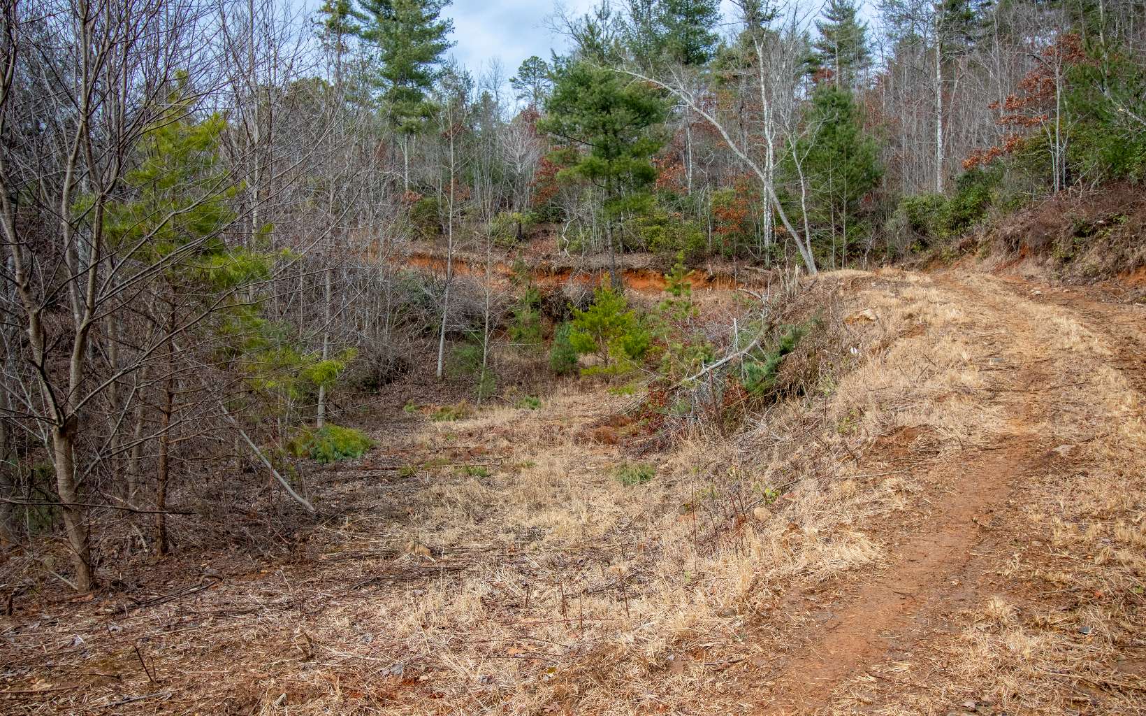 0 Craig Farm Road Murphy, NC 28906 - Photo 2 of 34 Additional View