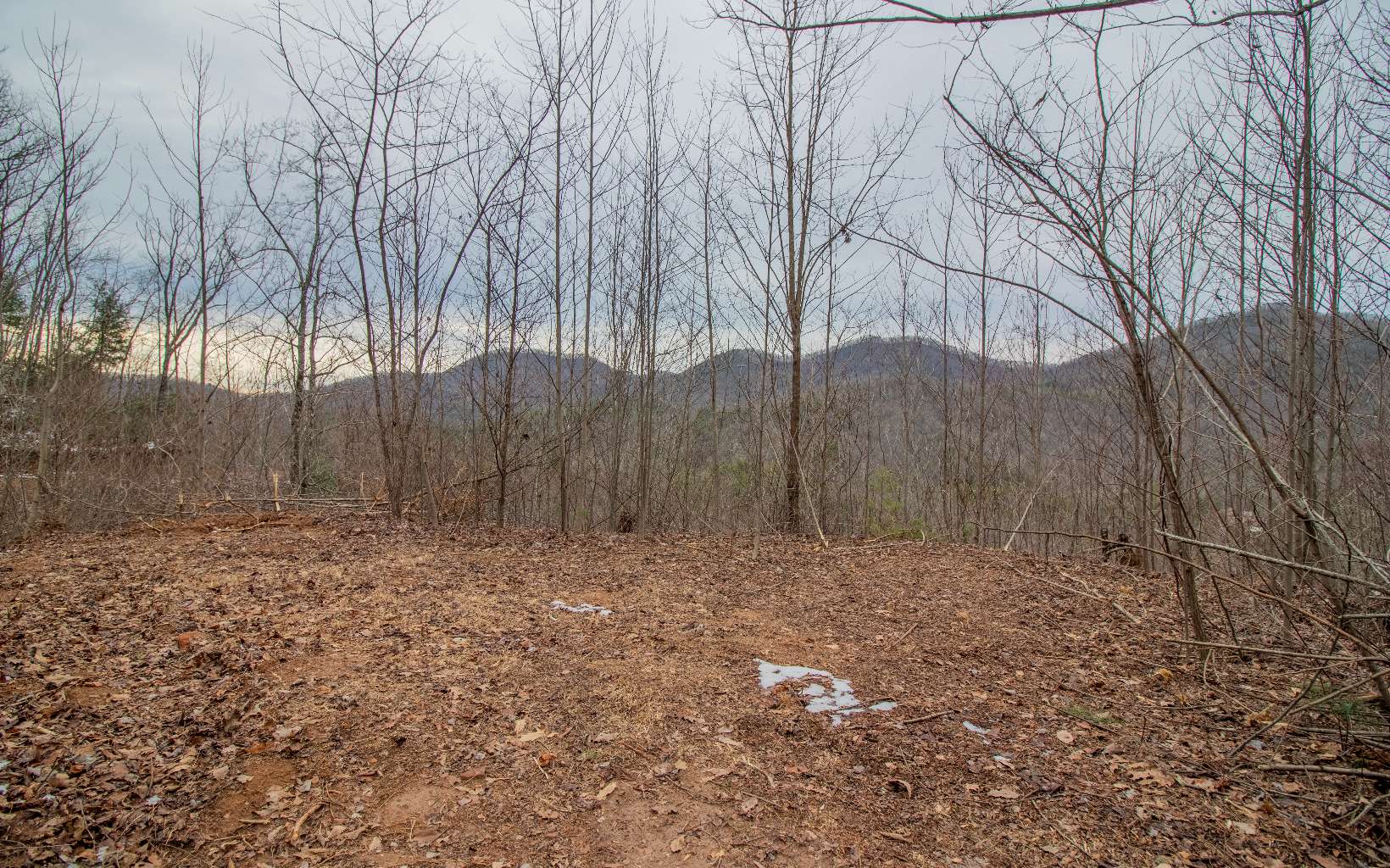 0 Craig Farm Road Murphy, NC 28906 - Photo 21 of 34 Additional View