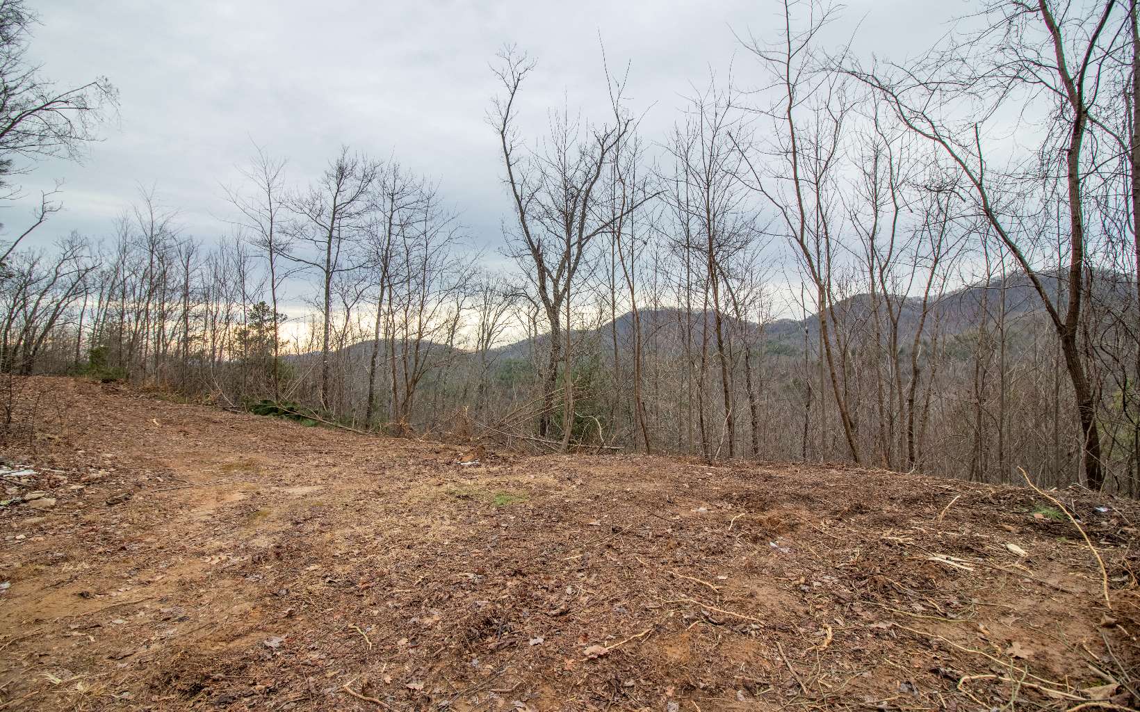 0 Craig Farm Road Murphy, NC 28906 - Photo 22 of 34 Additional View
