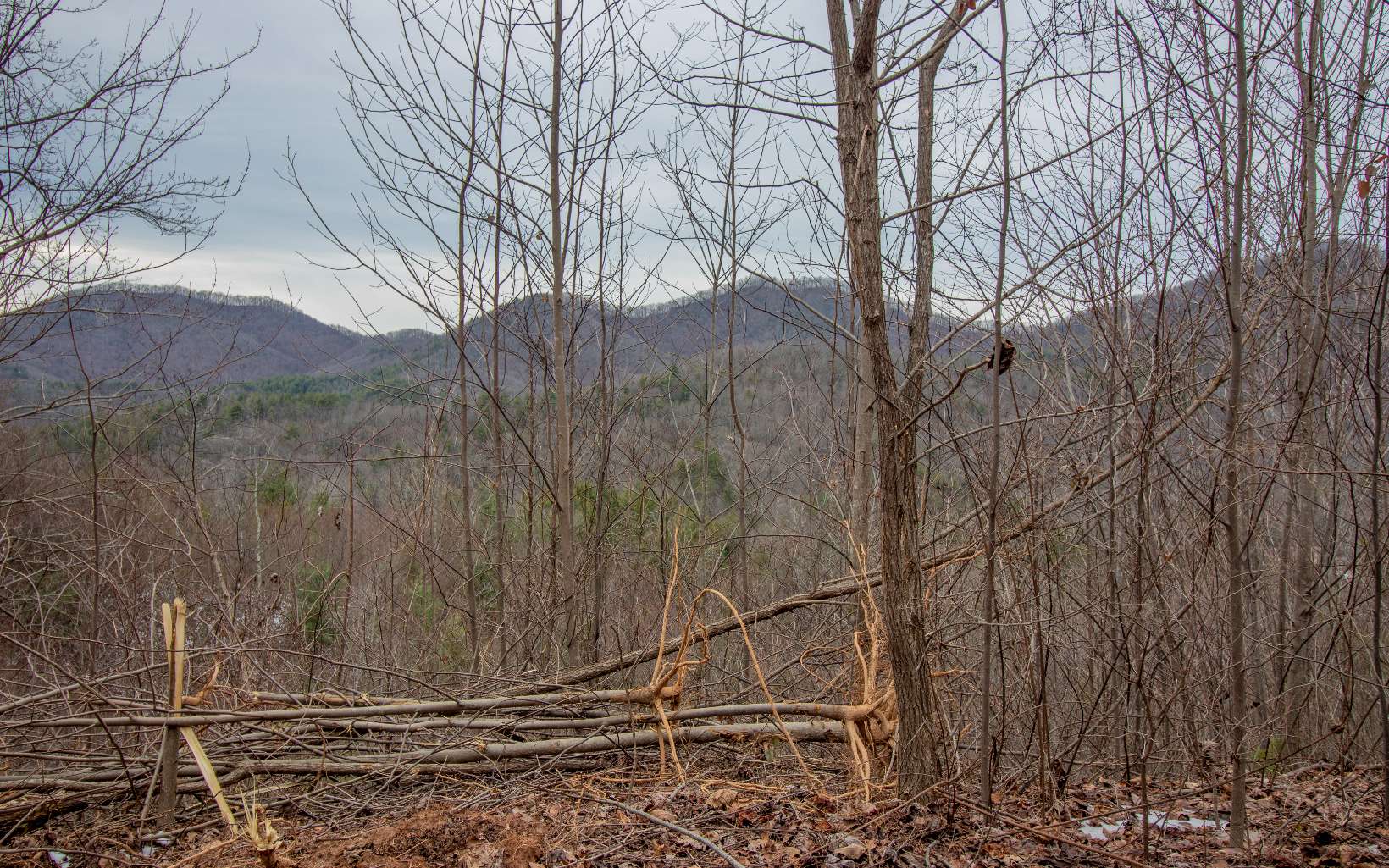 0 Craig Farm Road Murphy, NC 28906 - Photo 24 of 34 Additional View