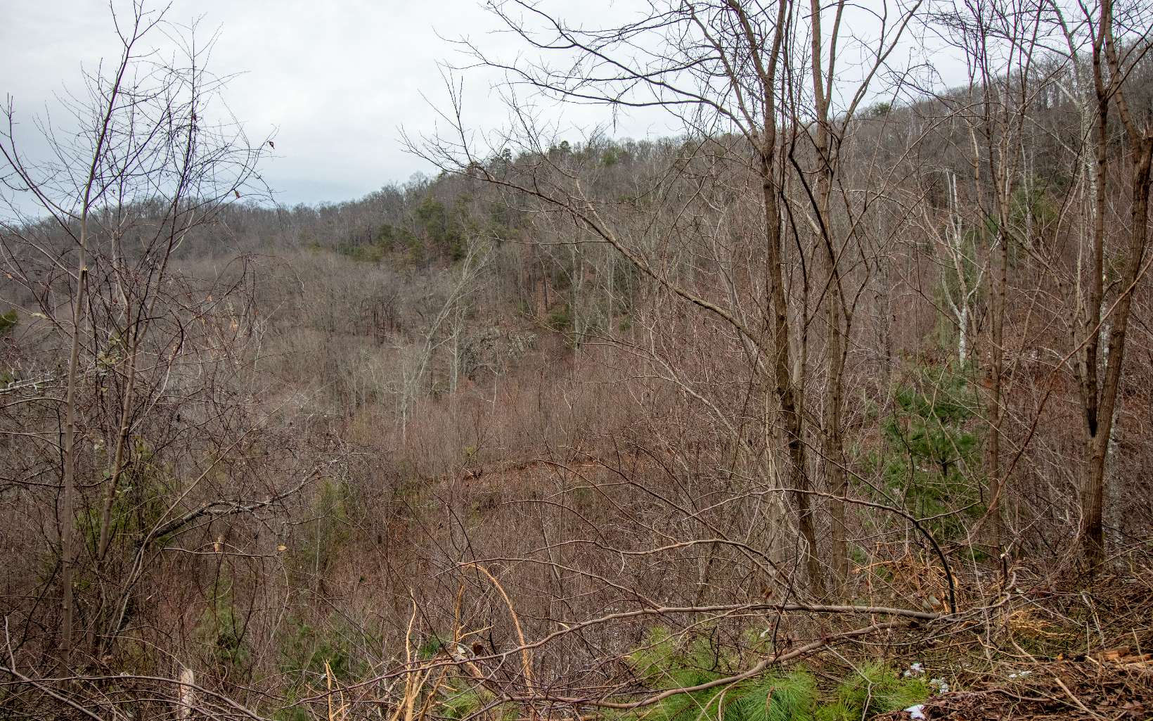 0 Craig Farm Road Murphy, NC 28906 - Photo 25 of 34 Additional View