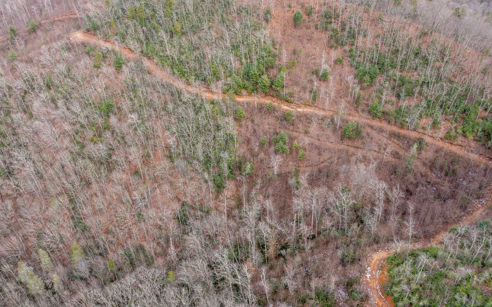 0 Craig Farm Road Murphy, NC 28906 - Photo 29 of 34 Additional View