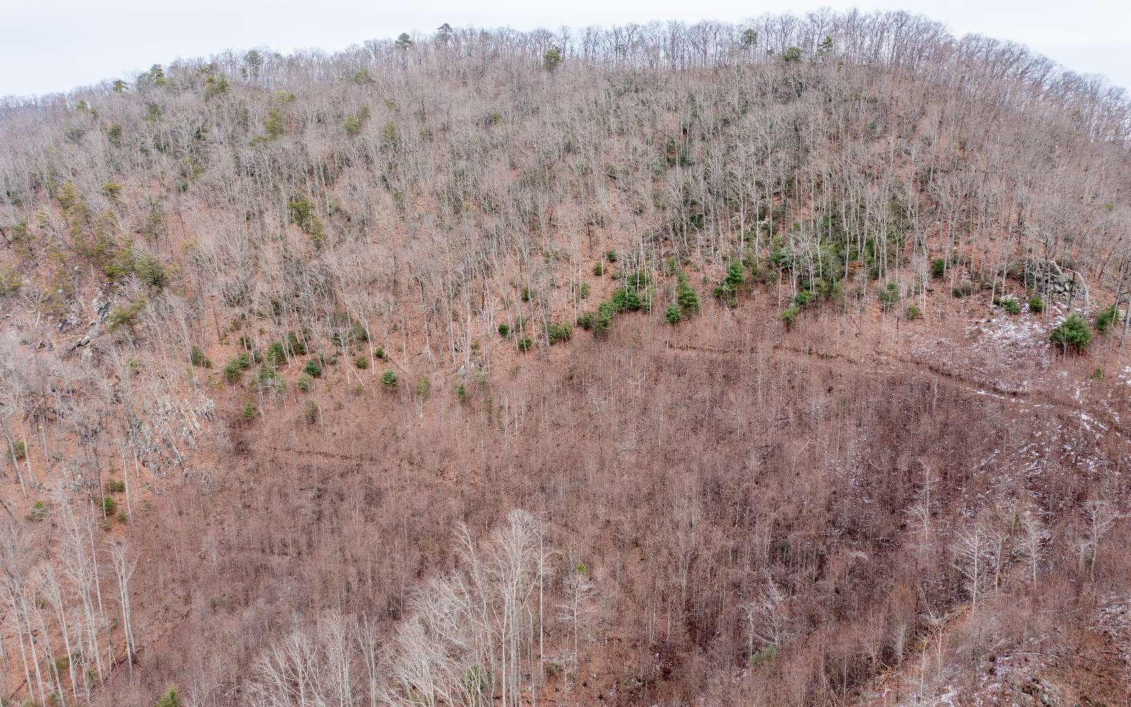 0 Craig Farm Road Murphy, NC 28906 - Photo 30 of 34 Additional View