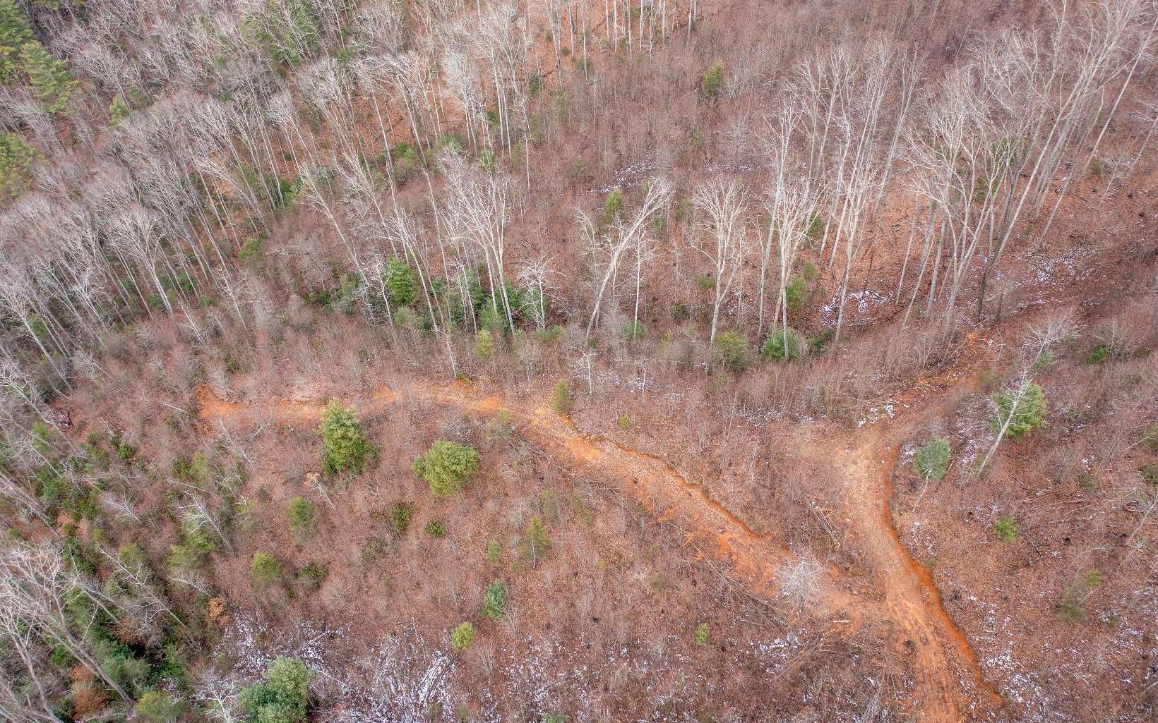 0 Craig Farm Road Murphy, NC 28906 - Photo 31 of 34 Additional View