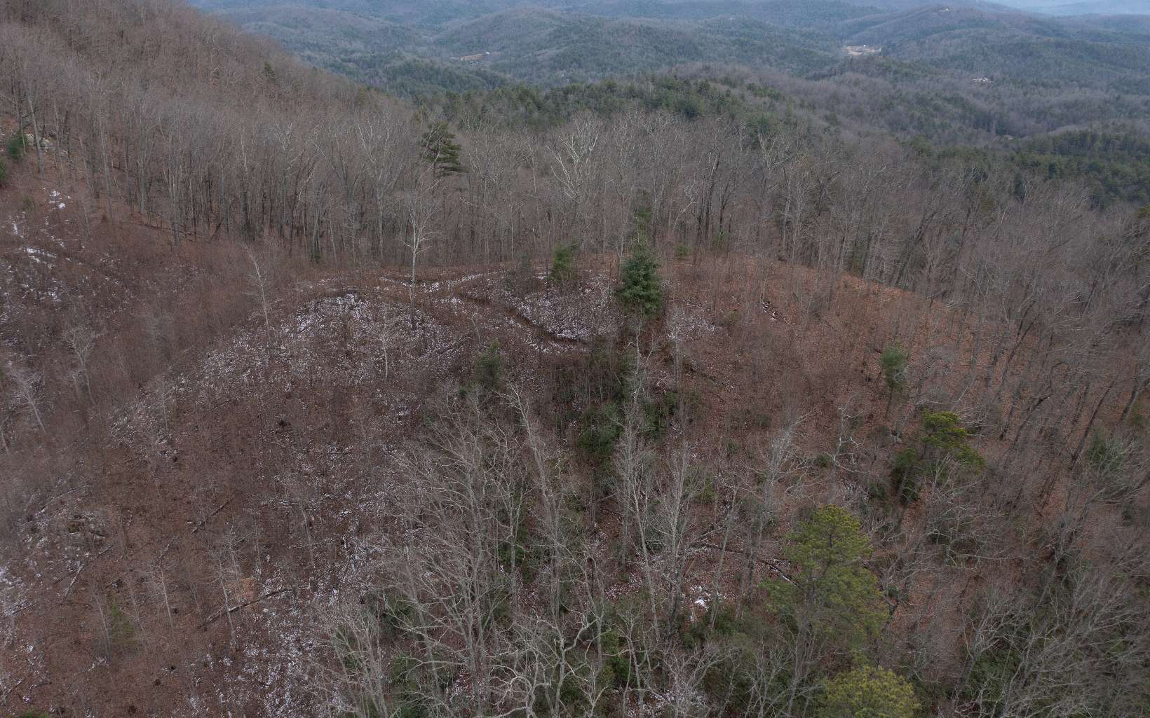 0 Craig Farm Road Murphy, NC 28906 - Photo 33 of 34 Additional View