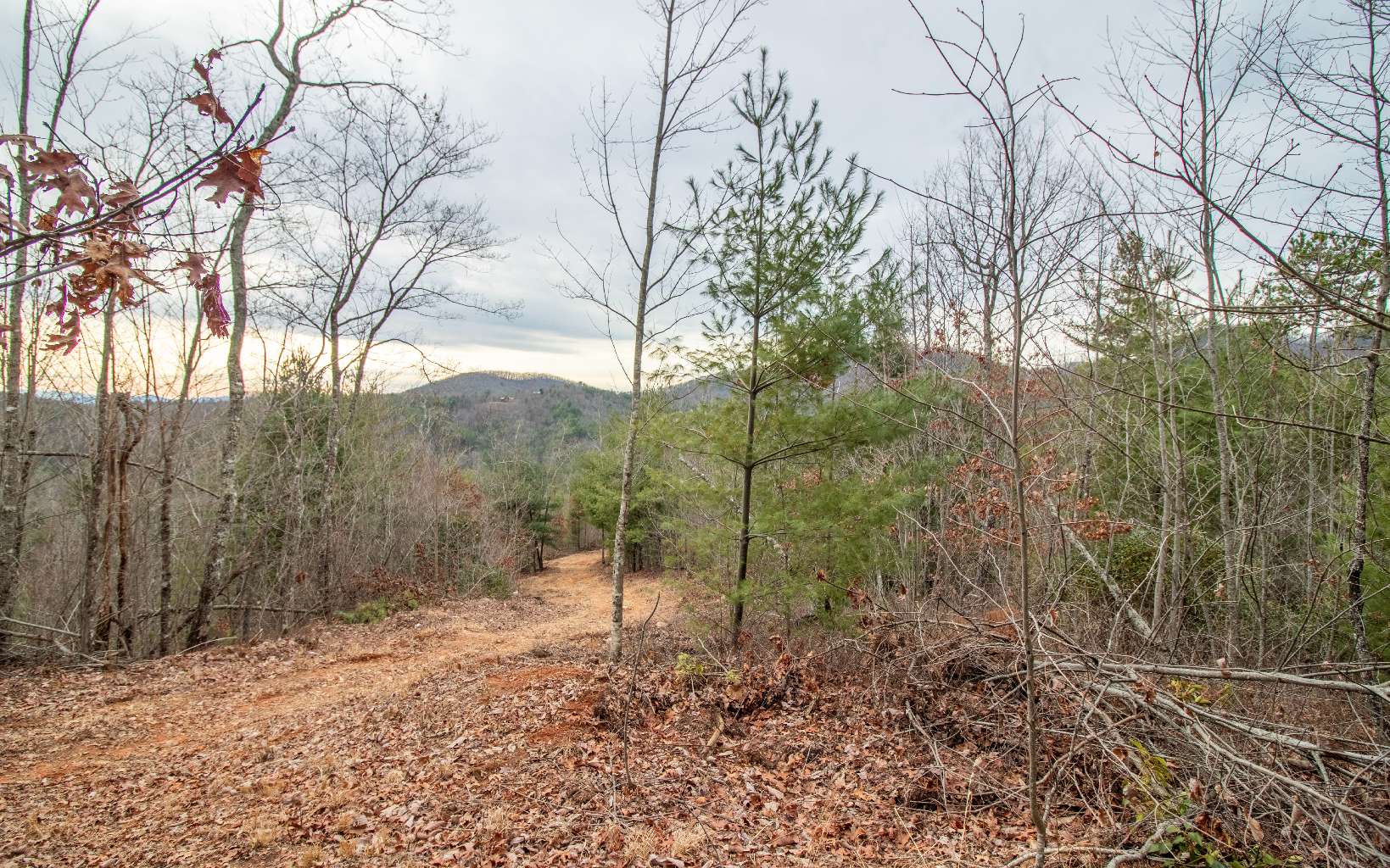 0 Craig Farm Road Murphy, NC 28906 - Photo 4 of 34 Additional View