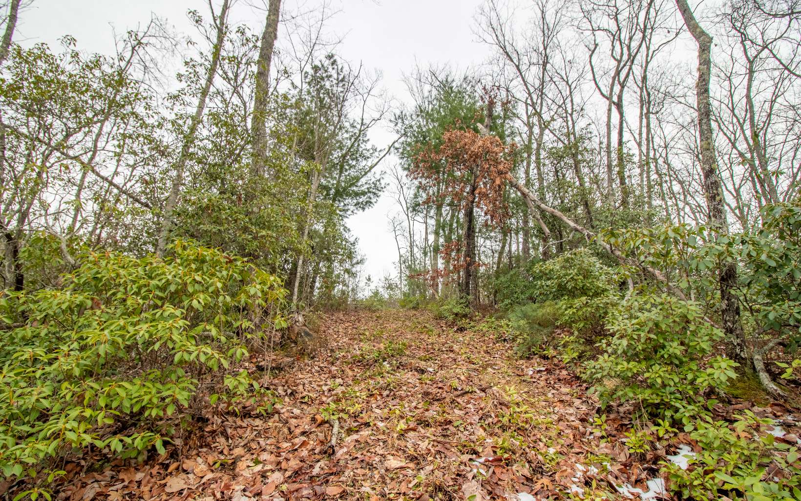 0 Craig Farm Road Murphy, NC 28906 - Photo 10 of 34 Additional View