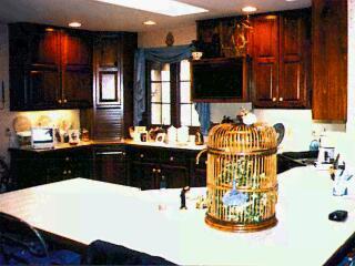 51728 Buckhorn Road Three Rivers, MI 49093 - Photo 5 of 8 Additional Photo