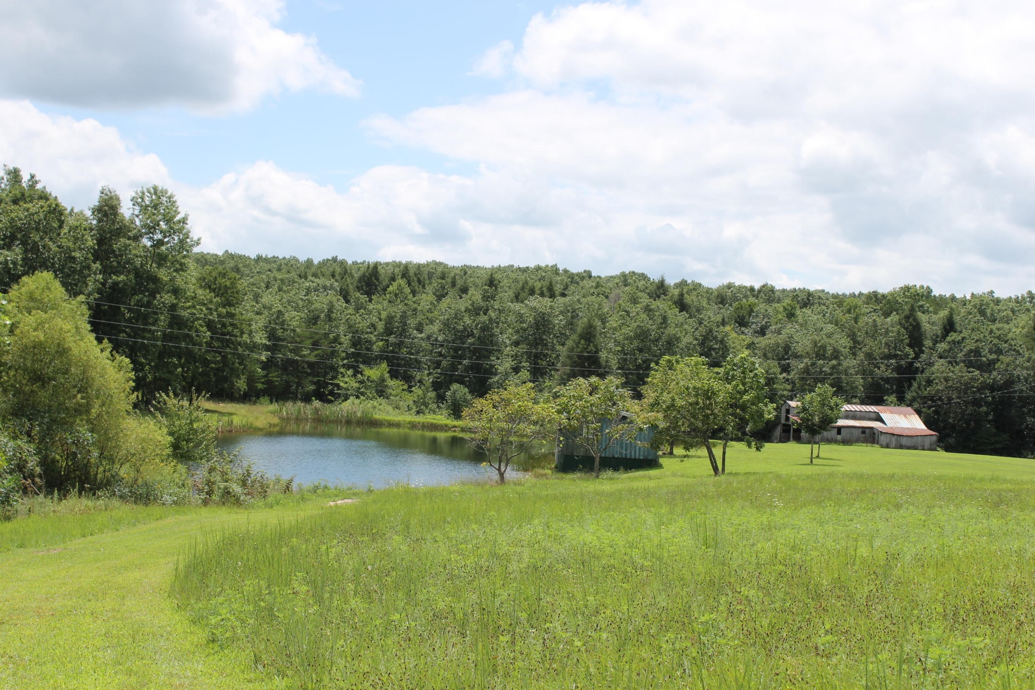 1326 Virgil Beaty Road Clarkrange, TN 38553 - Photo 25 of 26 Gallery Image 25