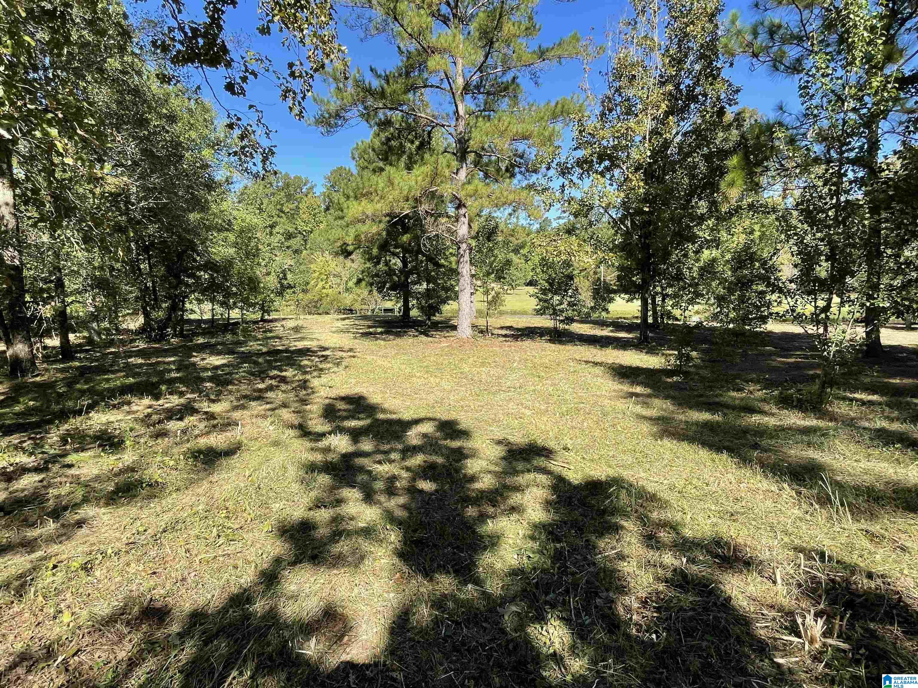 0 Paradise Point Drive Columbiana, AL 35051 - Photo 1 of 23