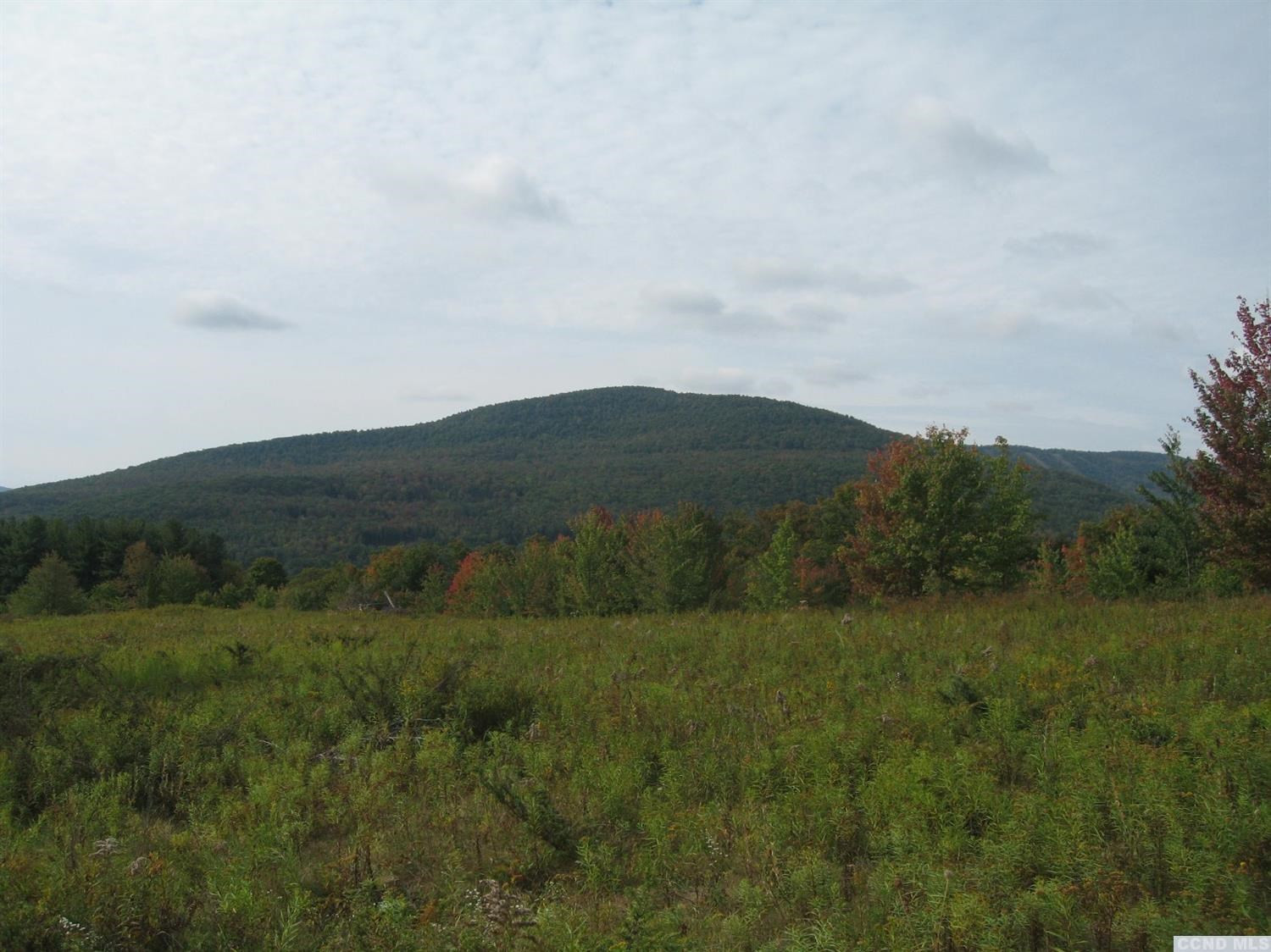 9 Anchor Camp Road Windham, NY 12496 - Photo 3 of 10 Photo 3