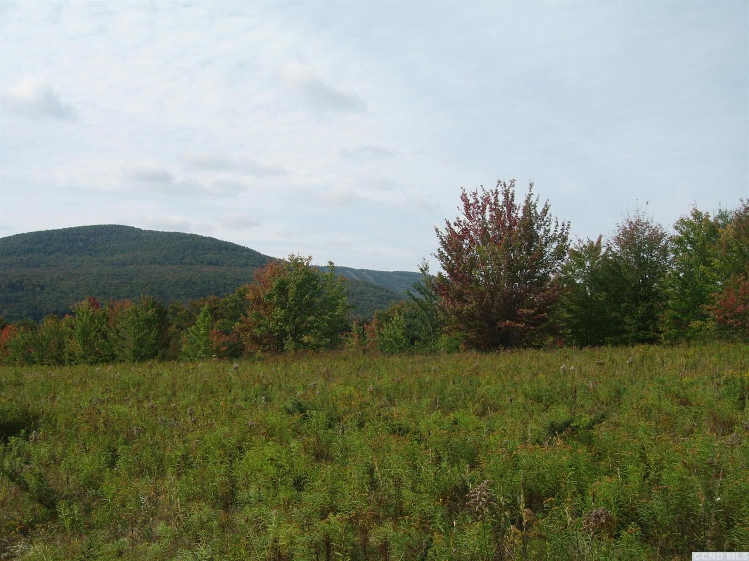 9 Anchor Camp Road Windham, NY 12496 - Photo 4 of 10 Photo 4