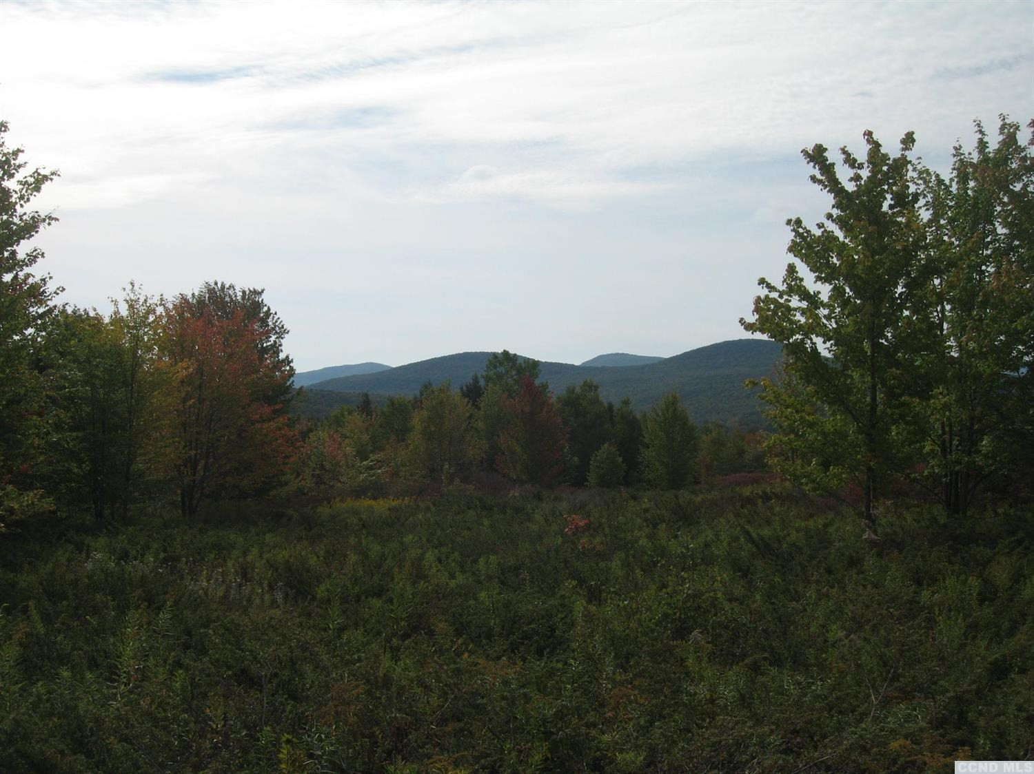 9 Anchor Camp Road Windham, NY 12496 - Photo 5 of 10 Photo 5