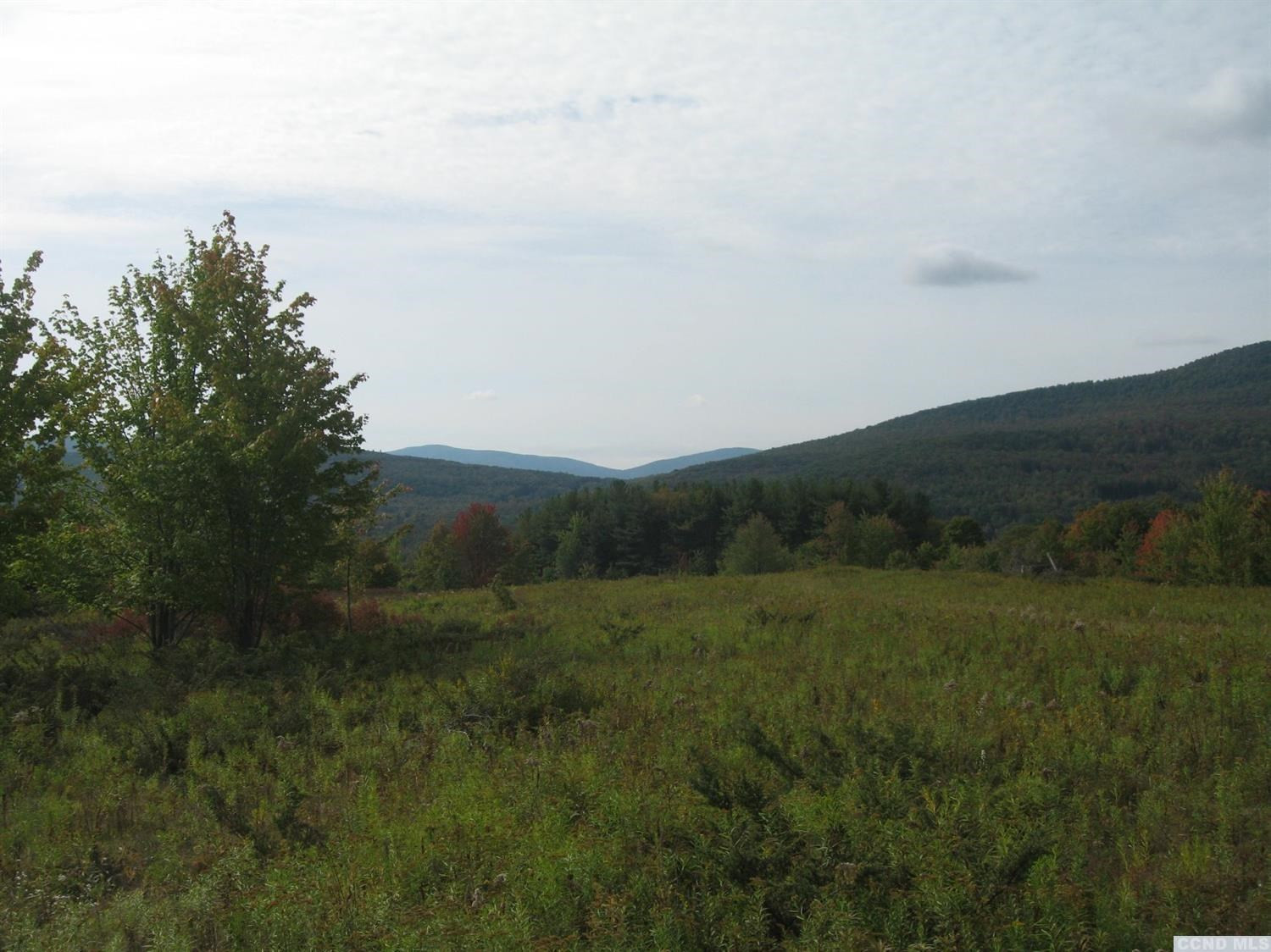 9 Anchor Camp Road Windham, NY 12496 - Photo 6 of 10 Photo 6