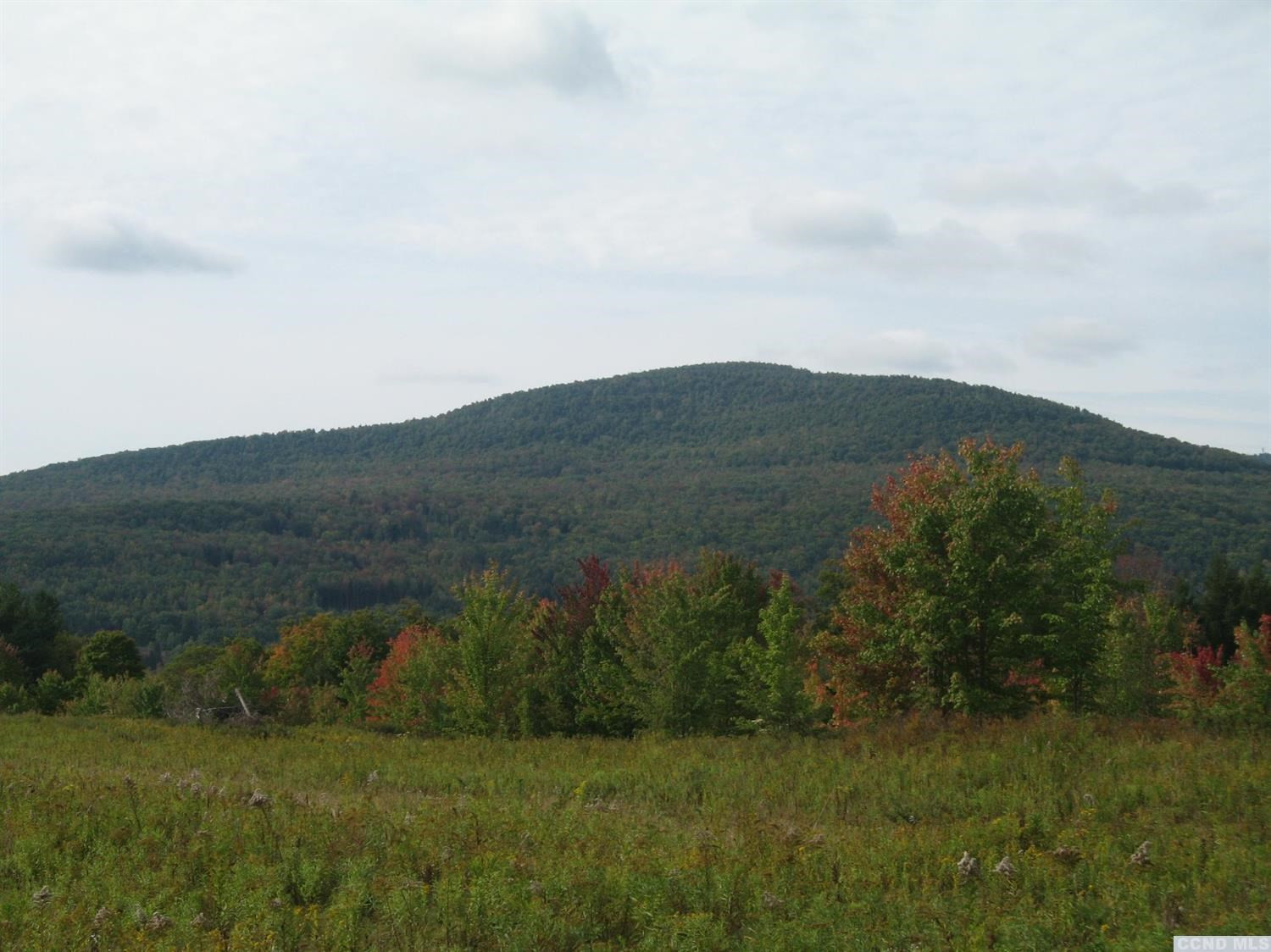 9 Anchor Camp Road Windham, NY 12496 - Photo 7 of 10 Photo 7