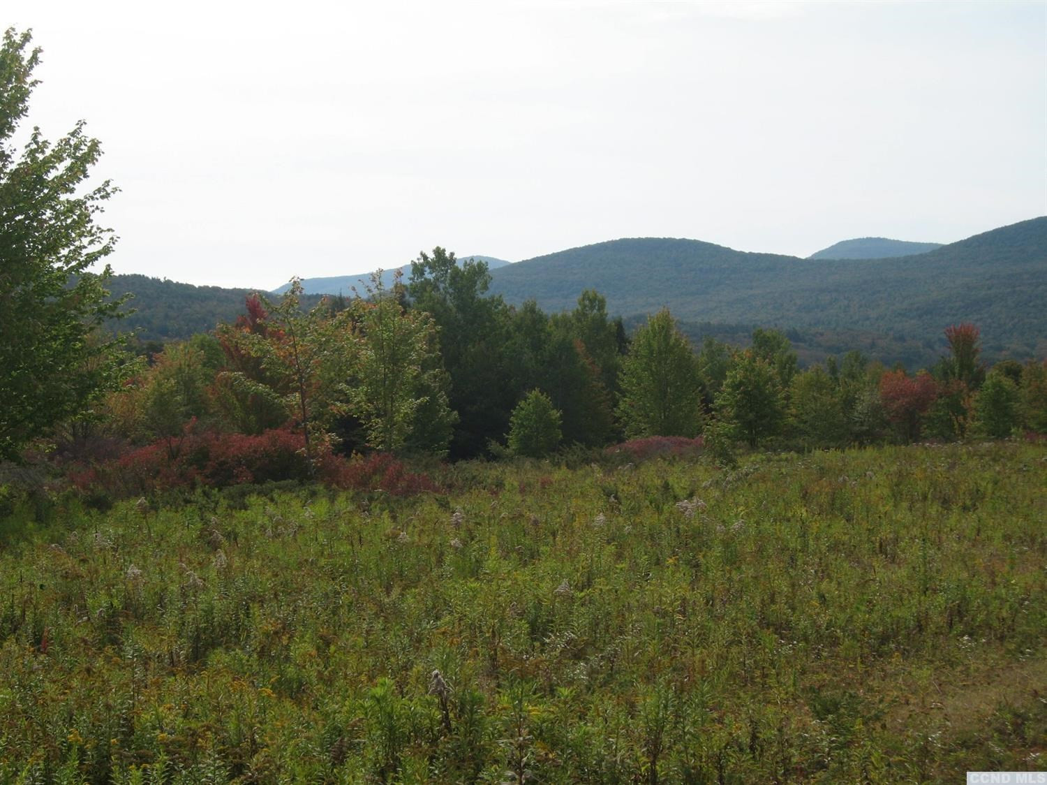 9 Anchor Camp Road Windham, NY 12496 - Photo 10 of 10 Photo 10