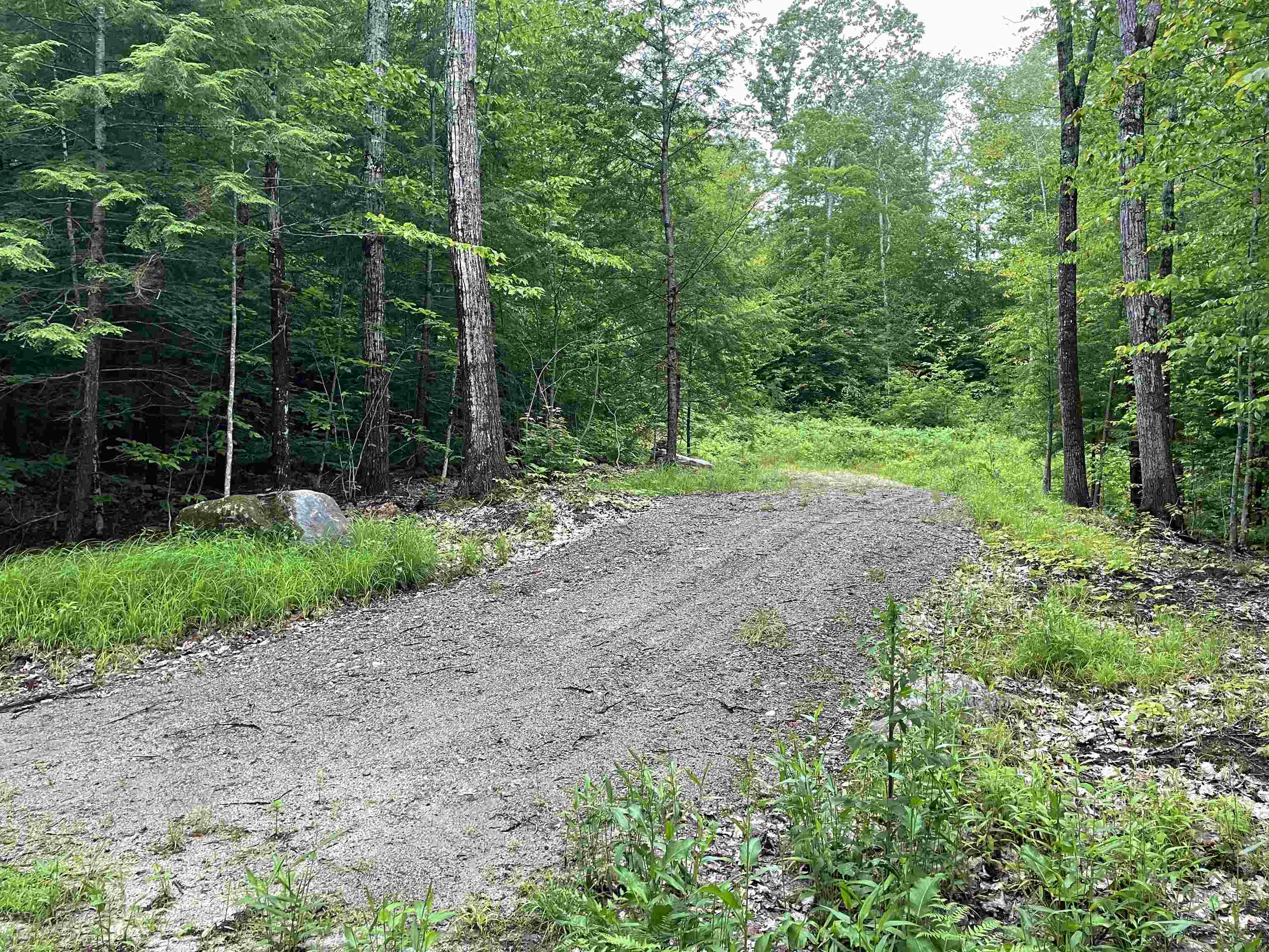 Lot 4 Seven Pines Road Holderness, NH 03245 - Photo 3 of 6