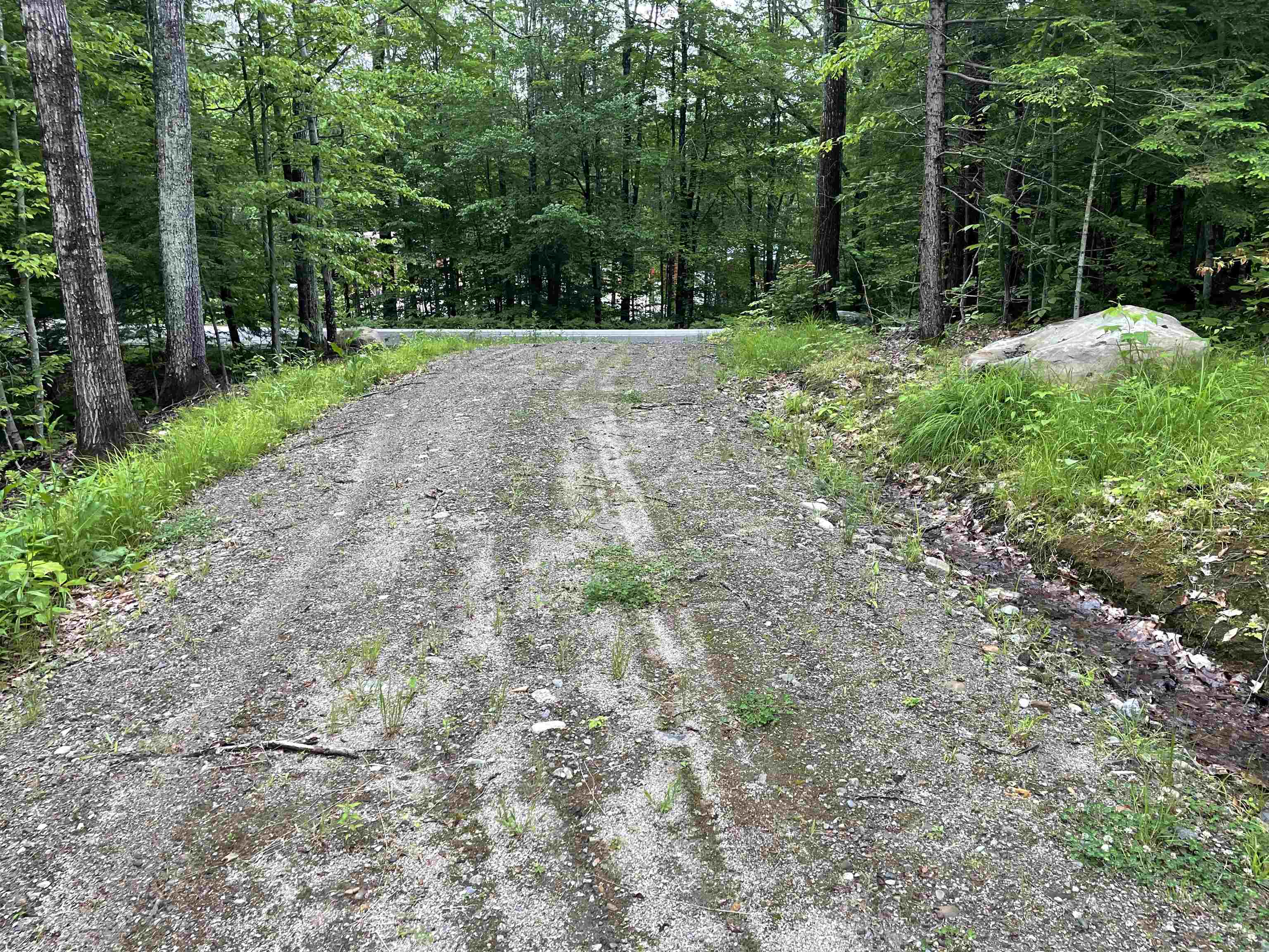 Lot 4 Seven Pines Road Holderness, NH 03245 - Photo 6 of 6