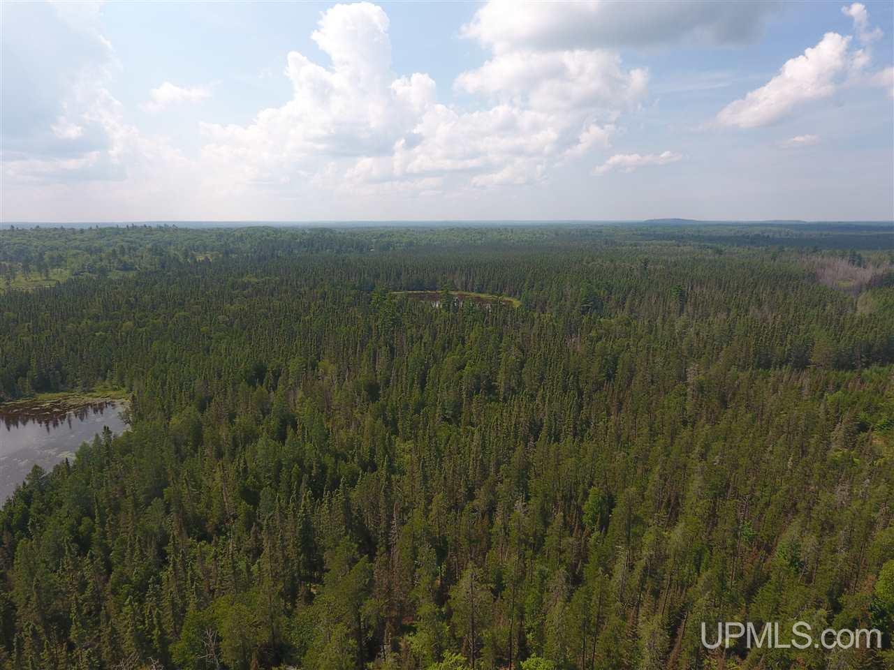 3168 Co Road Champion, MI 49814 - Photo 39 of 43