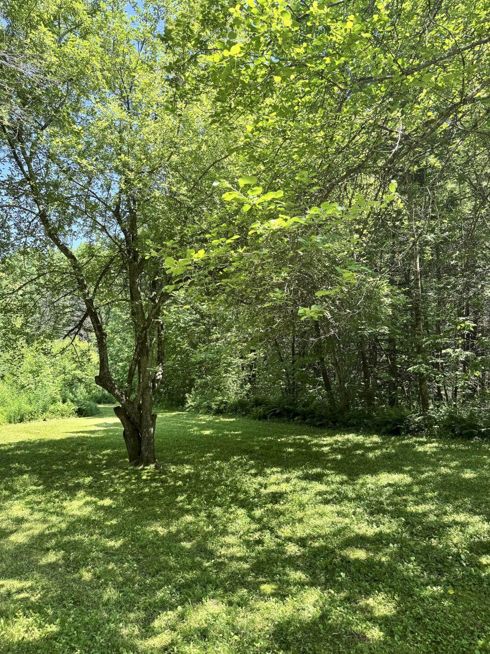 8 Bunker Hill Road Athens, ME 04912 - Photo 5 of 35 IMG_1643