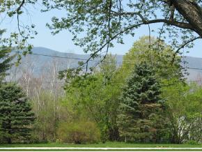 471 Barnumville Road Manchester, VT 05255 - Photo 2 of 5 Gallery Image 2