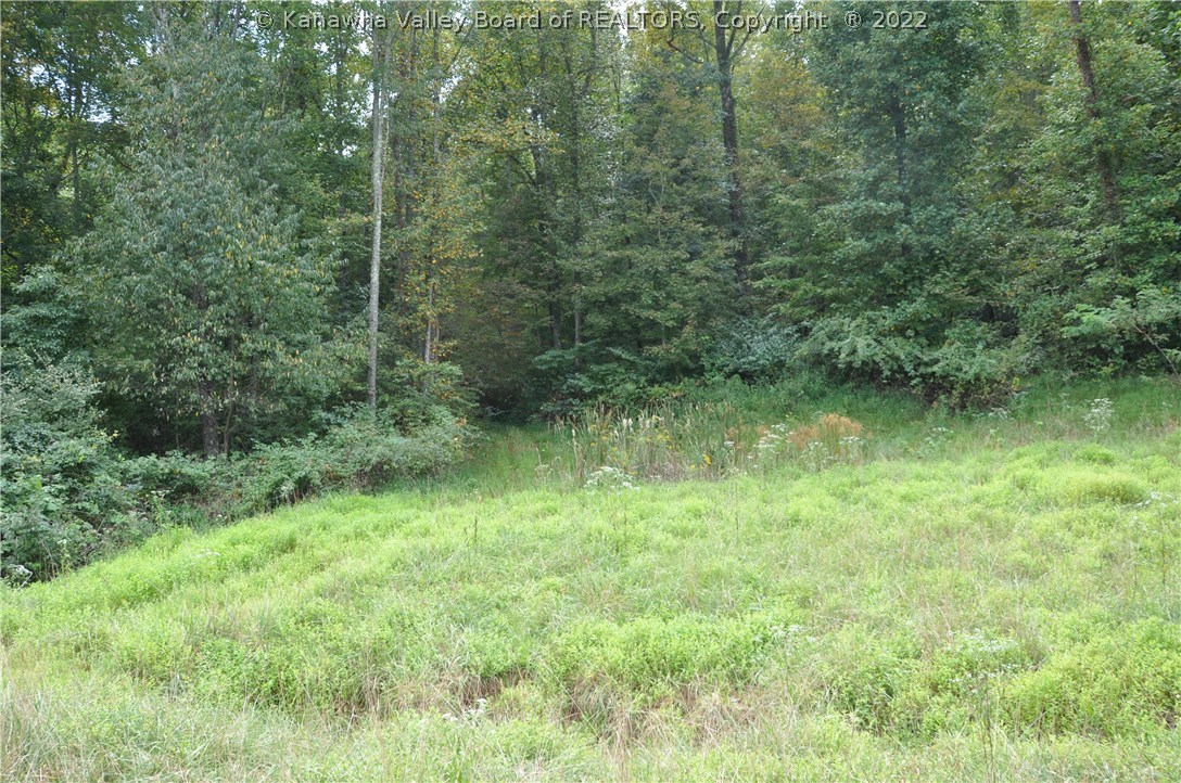 0 Fuquays Creek Road Sod, WV 25564 - Photo 3 of 21 Gallery Image 3