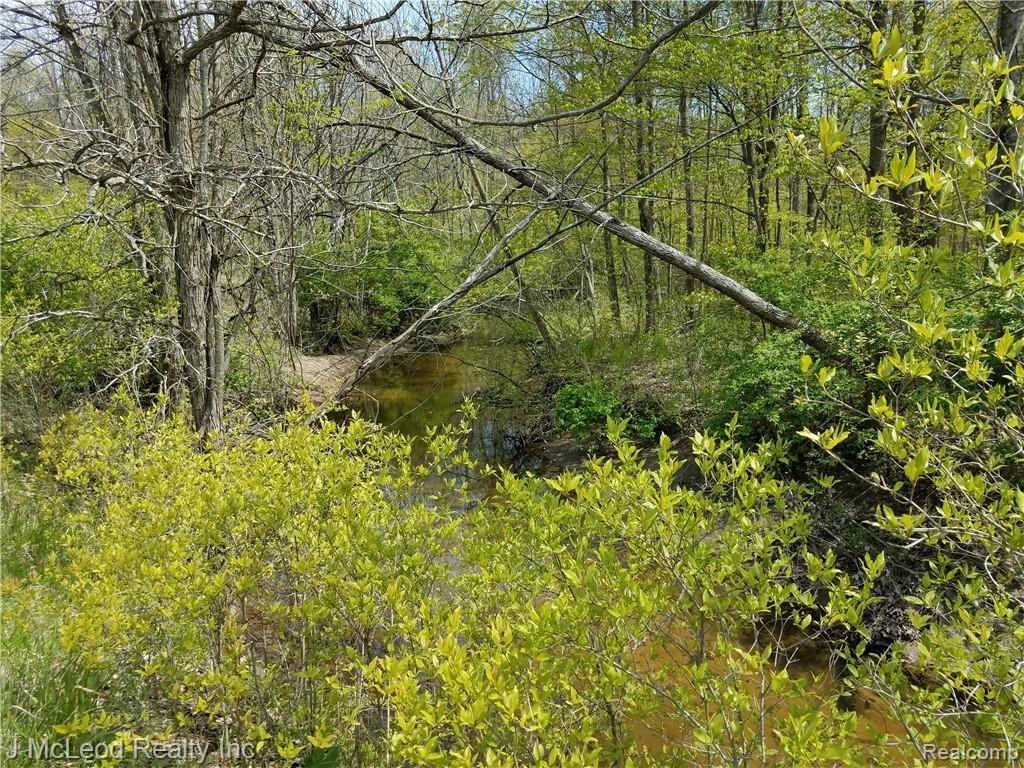 Vl Washburn Road Vassar, MI 48768 - Photo 10 of 37