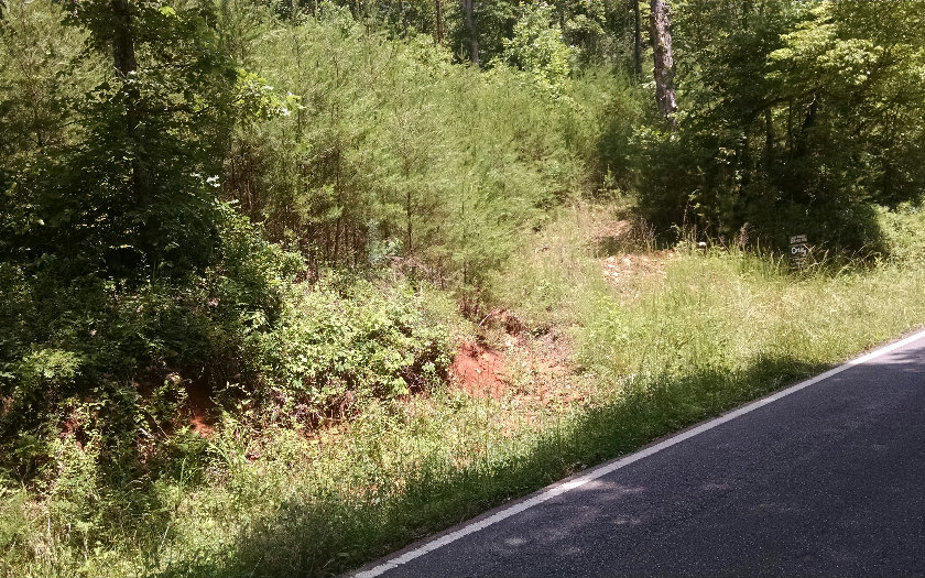 4.46 Galloway Road Blue Ridge, GA 30513 - Photo 1 of 1 Main View