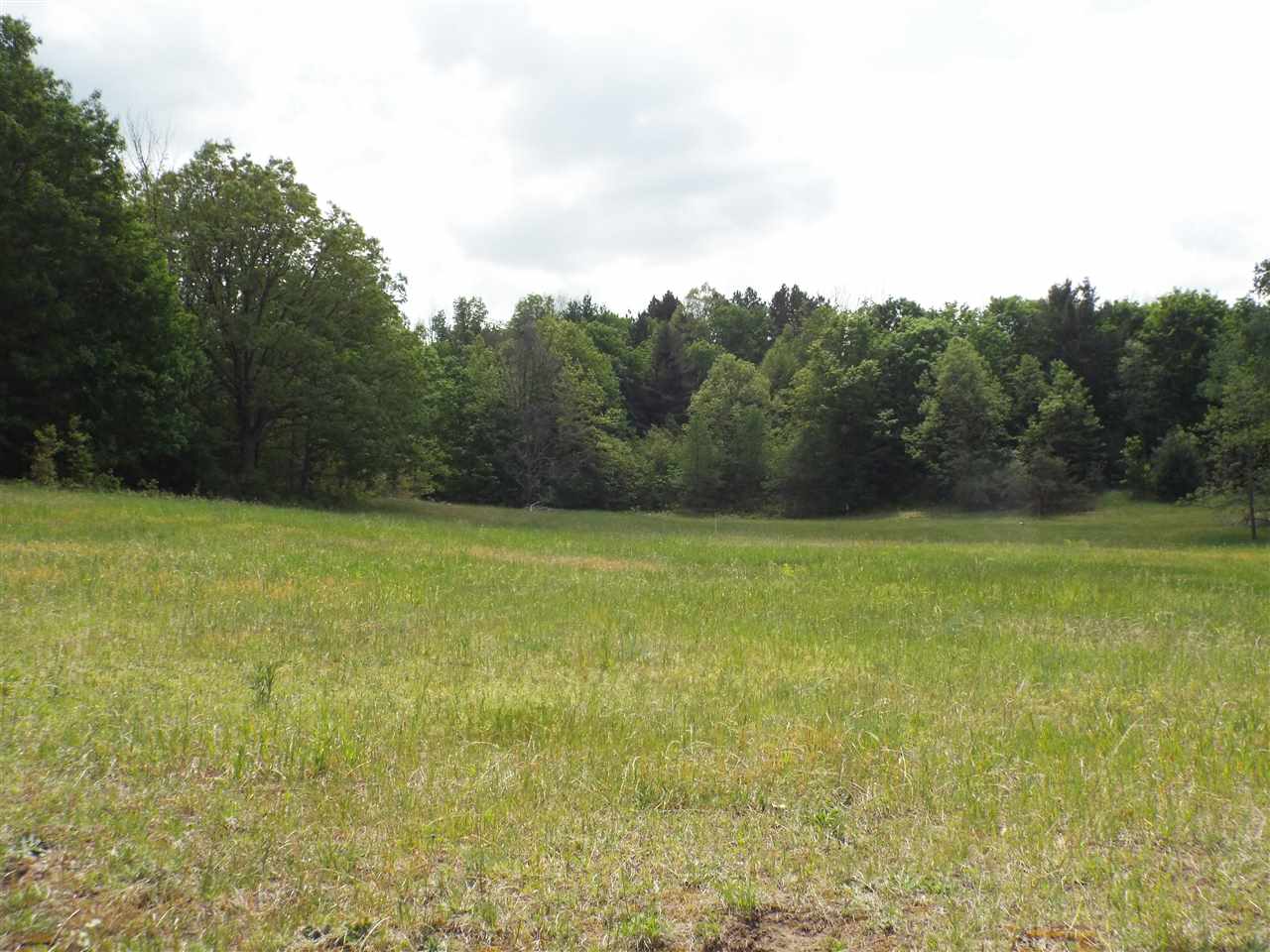 19135 Stanton Road Thompsonville, MI 49683 - Photo 20 of 23 1822384-19.JPG